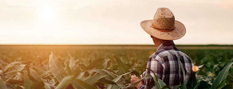 Foto de um produtor no campo